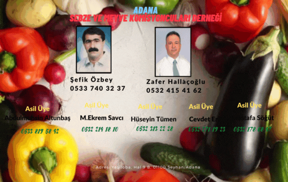 Adana Sebze Hali Firmaları 1 – Turuncu ve Mavi Sicrama Spor Salonu Afis