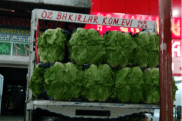 öz bakırlar adana marul