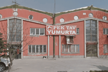 afyon toptan pek tav yumurta
