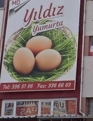 ankara toptan yumurta