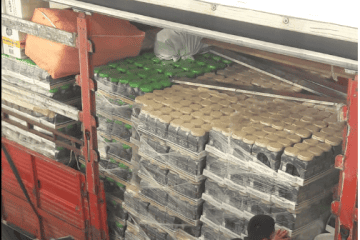 yılmaz toptancılık