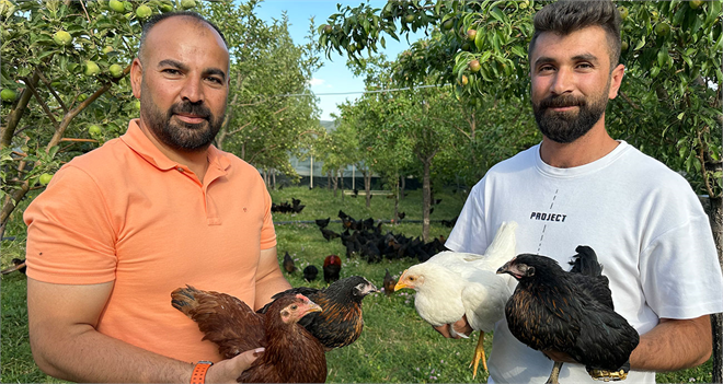 8 Civcivle İşe Başlayan 4 Öğretmen Bin 200 Tavuklu Çiftlik Kurdu