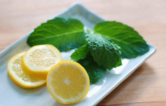 nane-limon-detok-tarifi