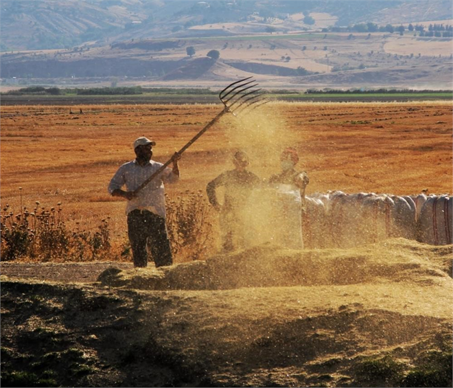 Tarımsal Girdi Fiyat Endeksi Yıllık Yüzde 27,70, Aylık Yüzde 3,46 Arttı