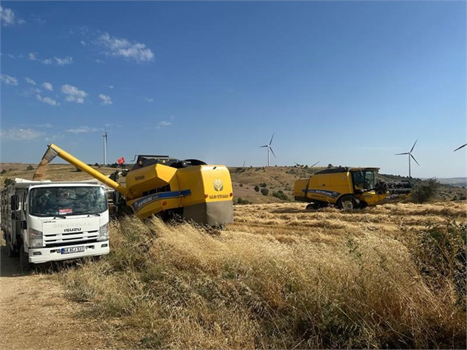 Uşak’ta Tritikale Üretiminden Olumlu Sonuç Alındı