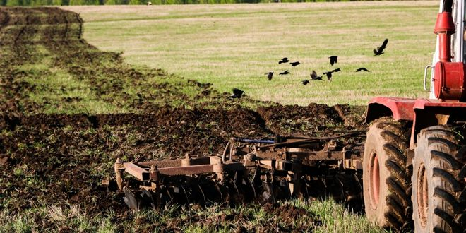 Yeni Yöntem Toprak Karbonu Tahminleri İçin Ümit Vaat Ediyor: Doğru ve Verimli Çözüm Bulundu