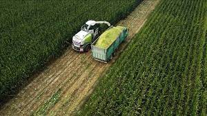 Tarım-ÜFE Yıllık Yüzde 62,48 Arttı