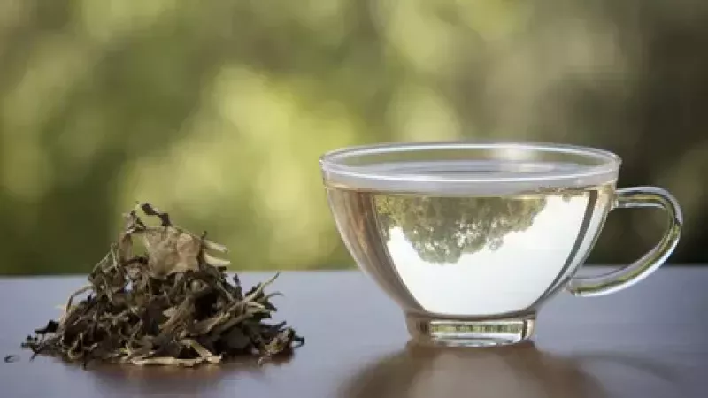 Beyaz çay nedir, faydaları nelerdir?