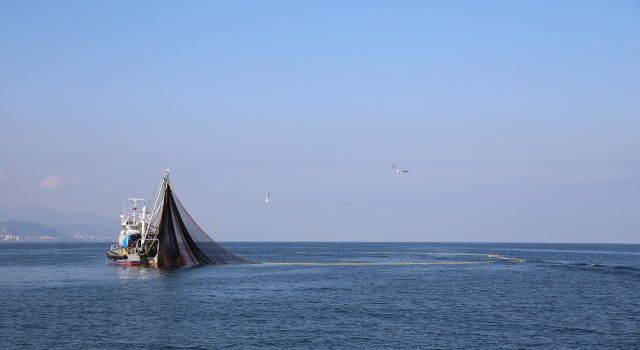 Denizlerde Avlanma Sezonu 1 Eylül’de Başlıyor