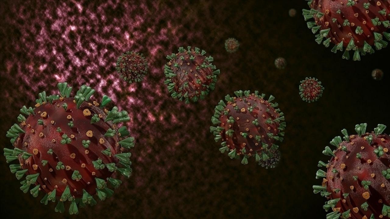 Koronavirüsün iki yeni varyantına tedbir şart