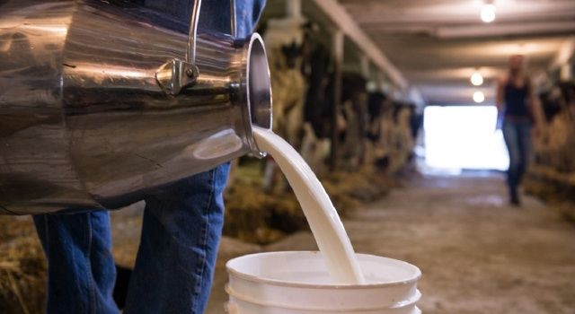 TÜSEDAD: Çiğ Süt Alım Fiyatı Litrede 15 Lira Olmalıdır