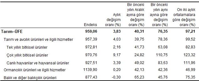 Yıllık artış yüzde 76!