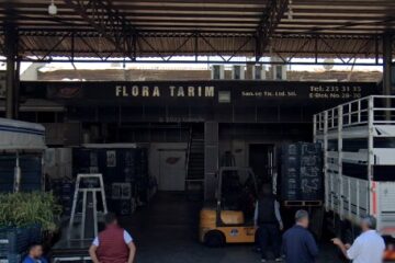 Flora Tarım Mersin Toptancı Halinde Sebze - Meyve Komisyonculuğu Yapmaktadır.