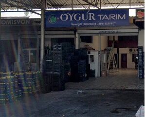 Oygur Tarım  Mersin Toptancı Halinde Sebze - Meyve Komisyonculuğu Yapmaktadır.