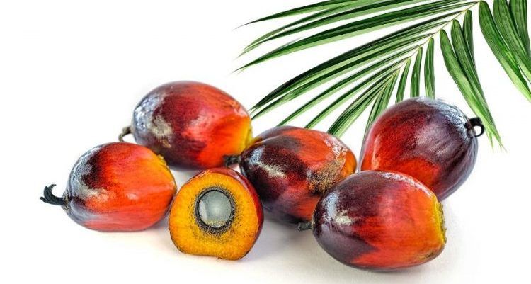 Tüketiciler, ‘palm yağı içermez’ ibareli ürünleri tercih ediyor!