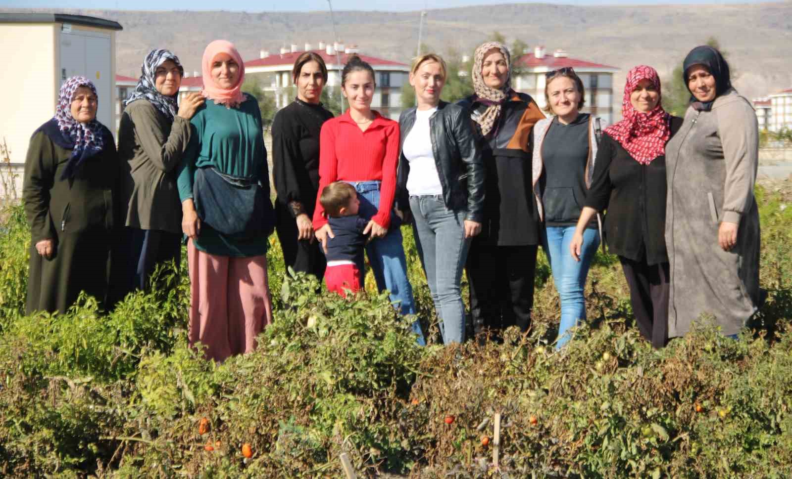 Kadınlar Tarlada Geleceği Yetiştiriyor: Kocasinan`da Organik Devrim