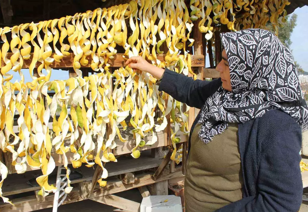 Limonun kilosu 30 kuruş, kabuğu 17 TL!